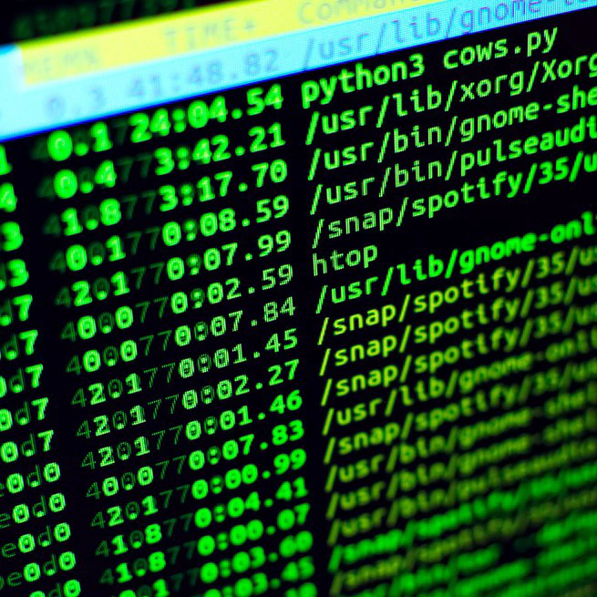 Install the latest stable version of Wireshark